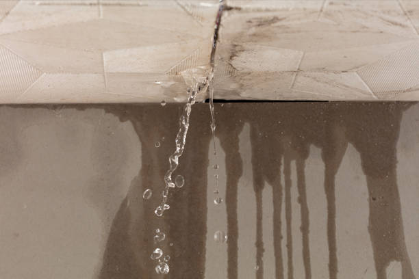 Professional Burst Pipe Cleanup technician working in Weidman, MI
